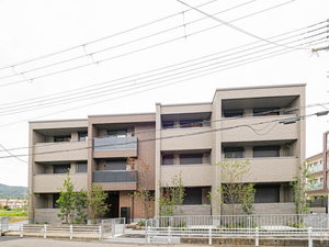 ＳｈａＭａｉｓｏｎ　ＮＡＯ 0101号-1