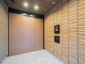 ＳｈａＭａｉｓｏｎ　ＮＡＯ 0101号-12