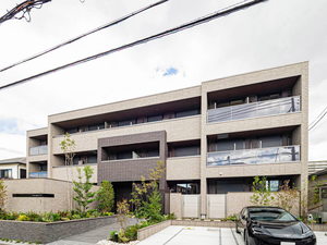 Ｚｉｎｎｉａ　ｅｌｅｇａｎｓ　塚口