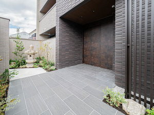 Ｚｉｎｎｉａ　ｅｌｅｇａｎｓ　塚口 0203号-11