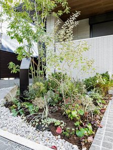 フォンテボヌール５ 0201号-11