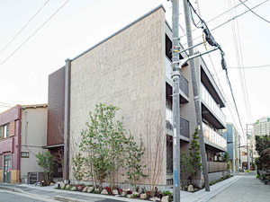 Ｓｈａｍａｉｓｏｎ　ｖｅｒｄｅ 0203号-11