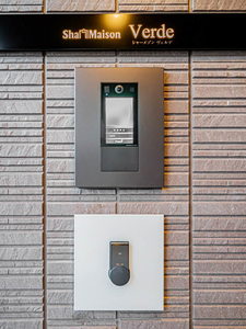 Ｓｈａｍａｉｓｏｎ　ｖｅｒｄｅ 0203号-13