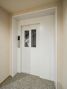 Ｓｈａｍａｉｓｏｎ　ｖｅｒｄｅ 0203号-14