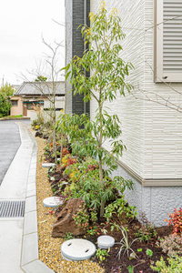 シャーメゾン フルリール 0101号-14