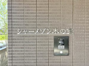 シャーメゾン 木の実 0103号-5