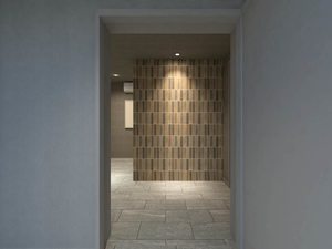 シャーメゾン　グランマーサ松虫通り 0401号-2