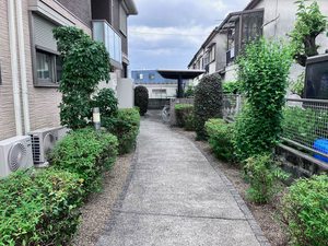 ｗｏｏｄ　Ⅱ 0202号-3