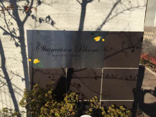 シャーメゾン　ブルーム 0205号-3