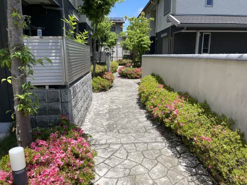 シャーメゾン　ＵＮ 0102号-15