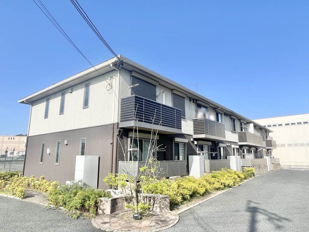 シュシュ　しらかし 0202号-15