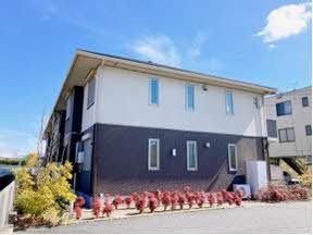 シュシュ しらかし 0202号-14