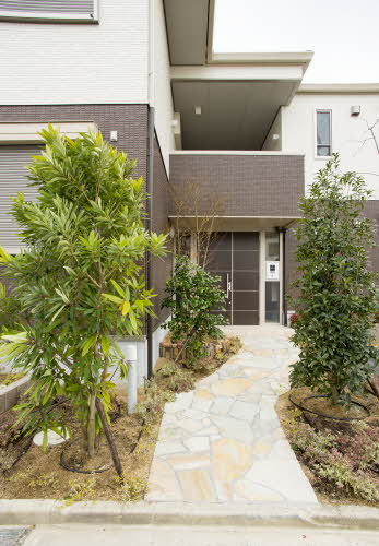 パーシモンＢ 0101号-3