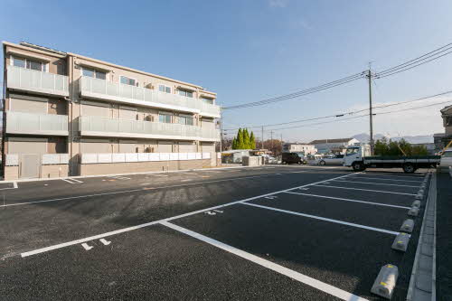 ＢＥＲＥＯ　Ｎｏｒｔｈ　ｐｌａｉｎ 0203号-15