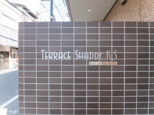 Ｔｅｒｒａｃｅ　Ｓｈａｄｄｙ　Ｋ．Ｓ 0202号-2