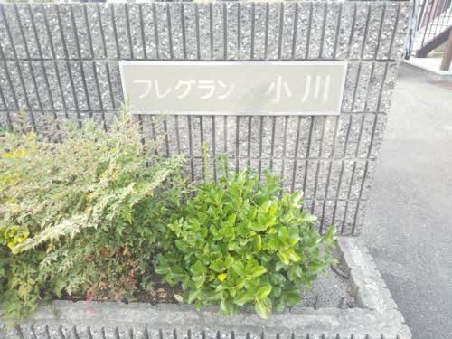 フレグランス小川 A103号-8