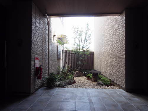 アマランサス 0203号-4