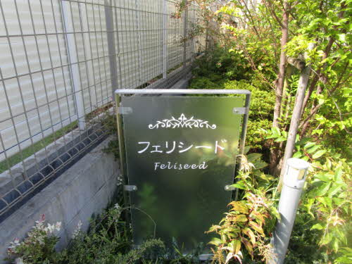 フェリシード 0102号-4