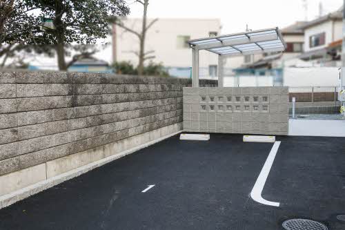 ＳｈａＭａｉｓｏｎ　Ｓｉａｍｅｓｅ 0201号-3