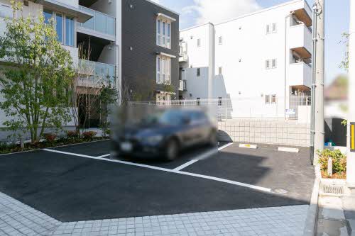 Ｓｈａｍａｉｓｏｎ　ＳＯＬＥＩＬ 0201号-2