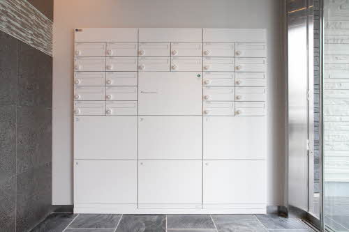 ｖｉｎｃｕｌｕｍ　ＡＫ 0103号-13