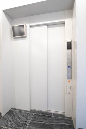 ｖｉｎｃｕｌｕｍ　ＡＫ 0103号-14