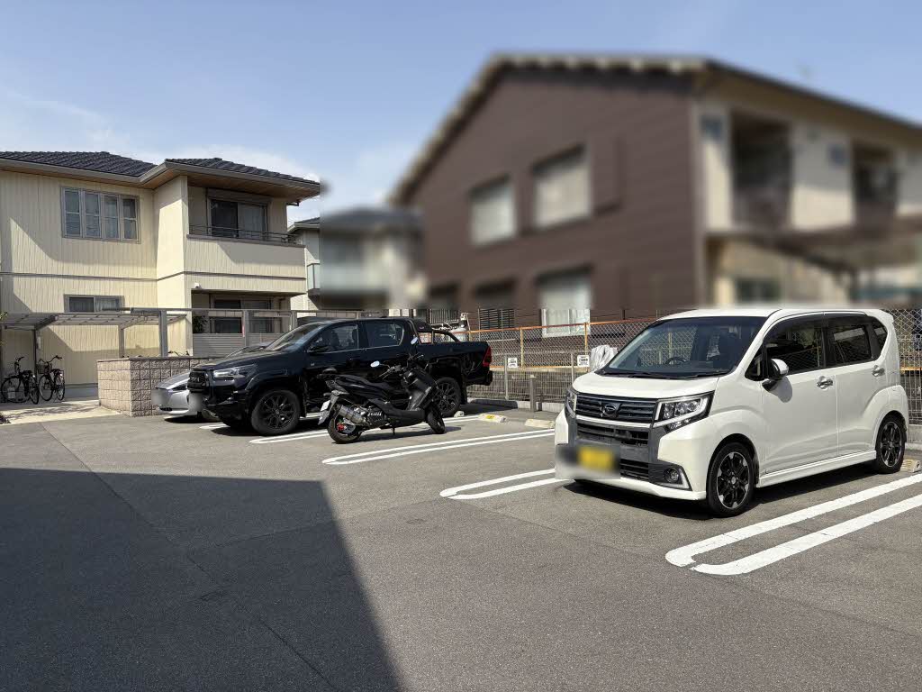 Ｆｅｌｉｓｅｅｄ　Ｐｒｕｇｎａ 0103号-2