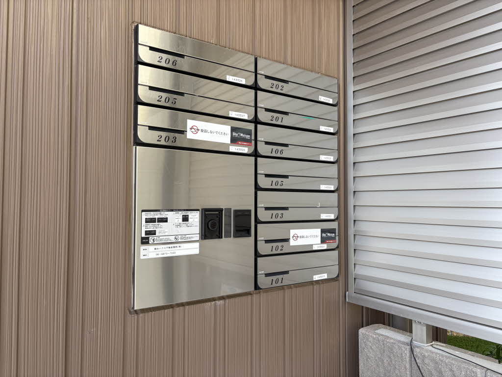 Ｆｅｌｉｓｅｅｄ　Ｐｒｕｇｎａ 0103号-3