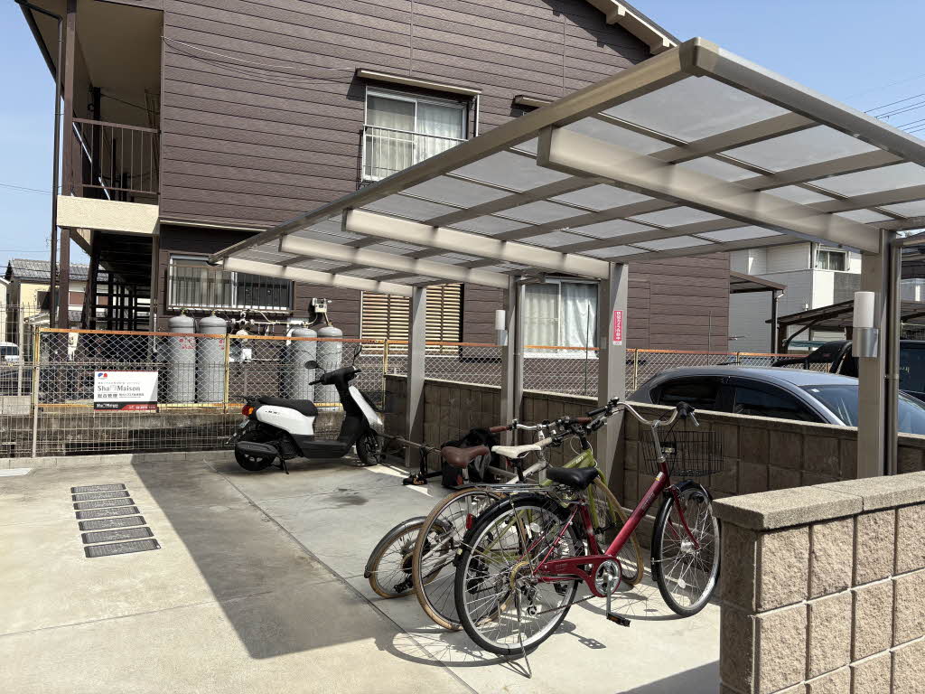 Ｆｅｌｉｓｅｅｄ　Ｐｒｕｇｎａ 0103号-4