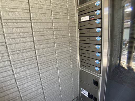 ＳｈａＭａｉｓｏｎ　ｖｉｏｌａ 0101号-12