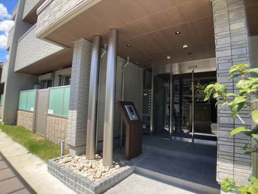 ＳｈａＭａｉｓｏｎ　ｖｉｏｌａ 0101号-13