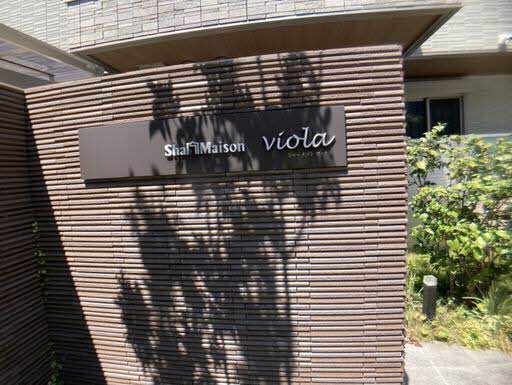 ＳｈａＭａｉｓｏｎ　ｖｉｏｌａ 0101号-15