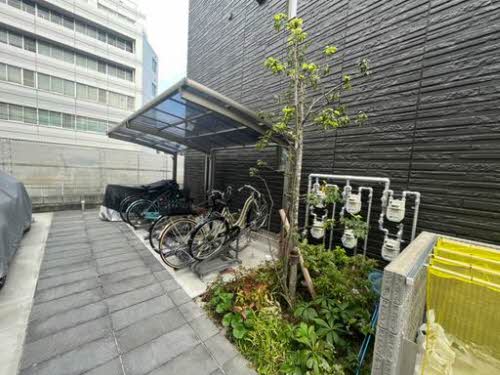 Cuorell Ⅱ 0301号-4