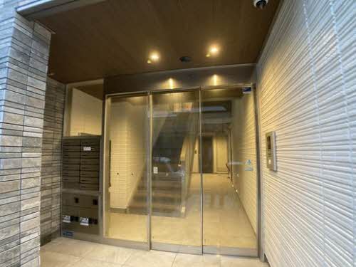 オキザリス　プルプレア 0201号-2