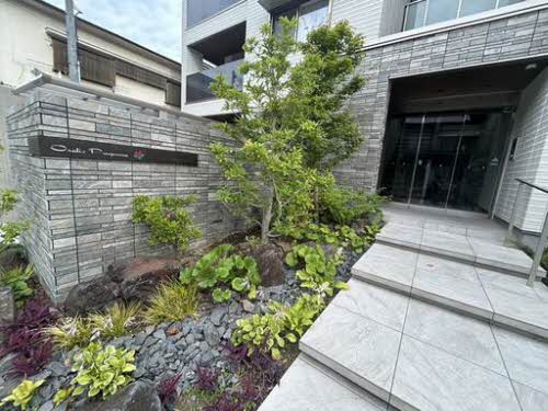 オキザリス　プルプレア 0201号-3