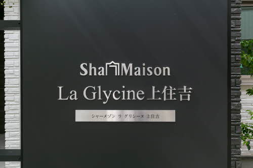 Ｓｈａｍａｉｓｏｎ　Ｌａ　Ｇｌｙｃｉｎｅ 0203号-12