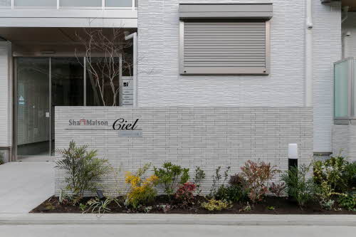 Ｓｈａｍａｉｓｏｎ　Ｃｉｅｌ 0101号-15