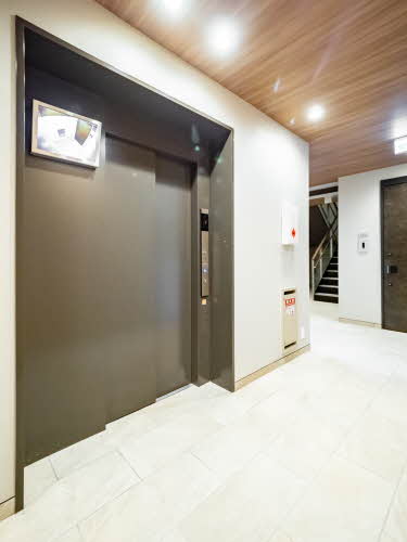 Ｐｌａｃｉｄｅ　Ｋ 0307号-15