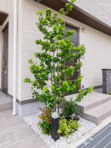 シャーメゾン　シスコート 0202号-3