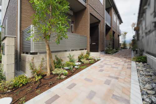 オクサリス 0201号-14