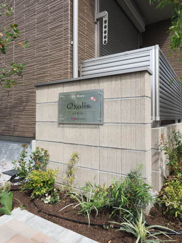 オクサリス 0201号-13