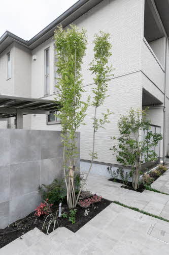 ルルアベル桂 0202号-15