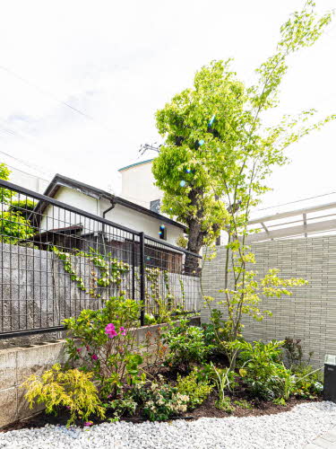 ＳｈａＭａｉｓｏｎ　Ｇｒｅｅｎａｇｅ 0203号-4