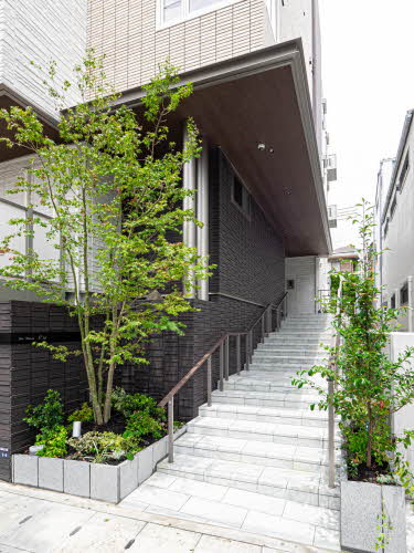 Ｓｈａ　Ｍａｉｓｏｎ　Ｍ　１ｓｔ 0401号-3