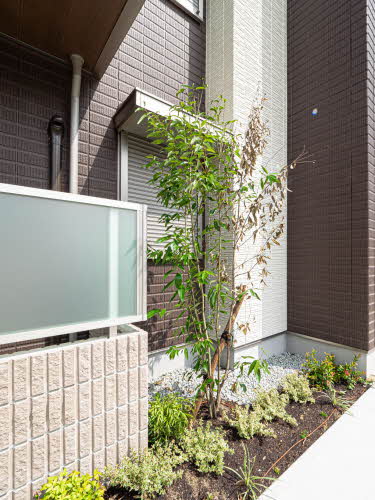 ＢＥＲＥＯ名高 0101号-15