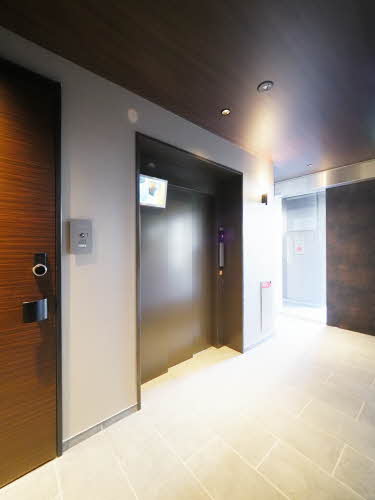 ＳｈａＭａｉｓｏｎ　Ｓｅｒｄｉｎａ 0102号-6