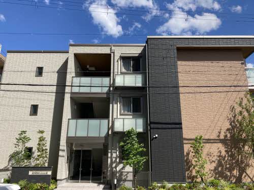 Ｓｈａ　Ｍａｉｓｏｎ　Ｏｒａｎｇｅ 0303号-3