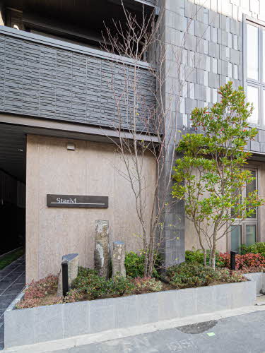 Ｓｔａｒ　Ｍ 0302号-13