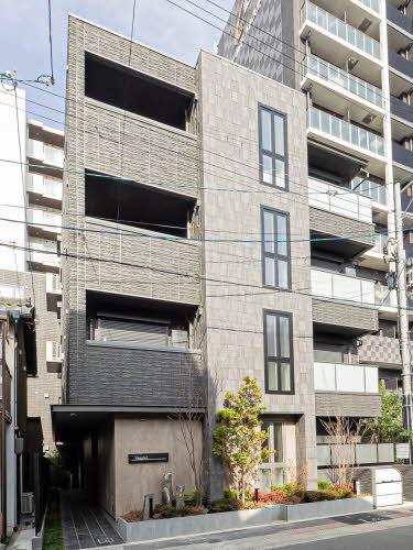 Ｓｔａｒ　Ｍ 0302号-14