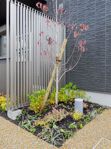 マイルストーンＮ山陵 0301号-5